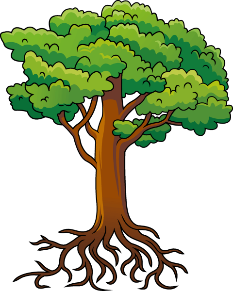 Нарисовать дерево с корнями