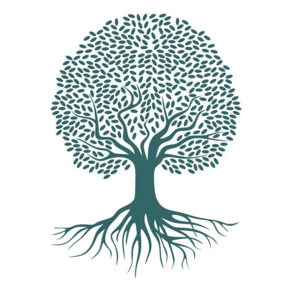 Логотип дерево с корнями