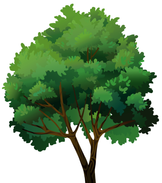 Кусты и деревья векторные