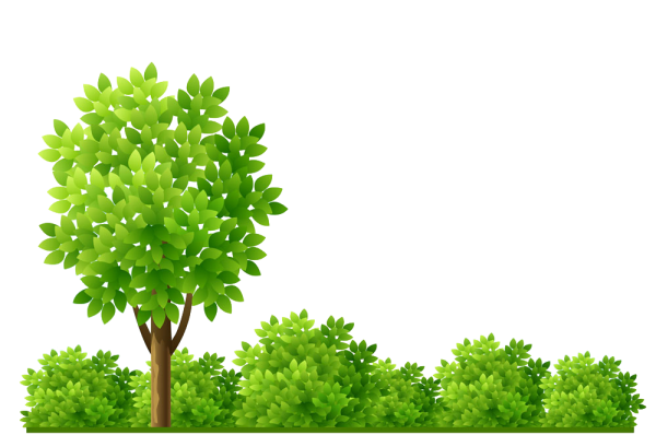 Деревья кусты вектор