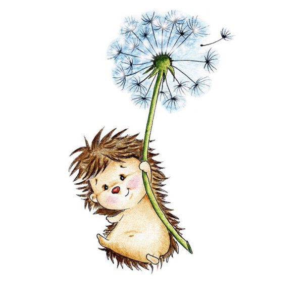 Милый одуванчик