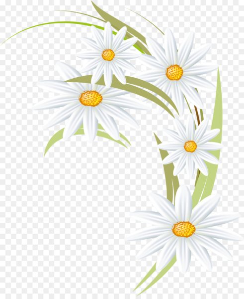 Ромашка Векторная Графика