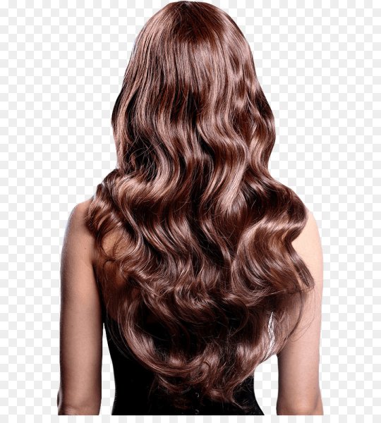 Красивые Здоровые волосы вид сзади