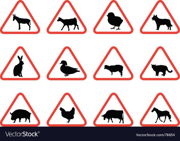 Предупреждающие знаки животные