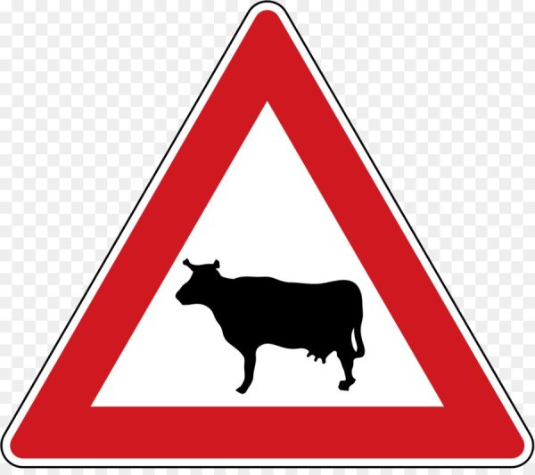 1.26 "Перегон скота".