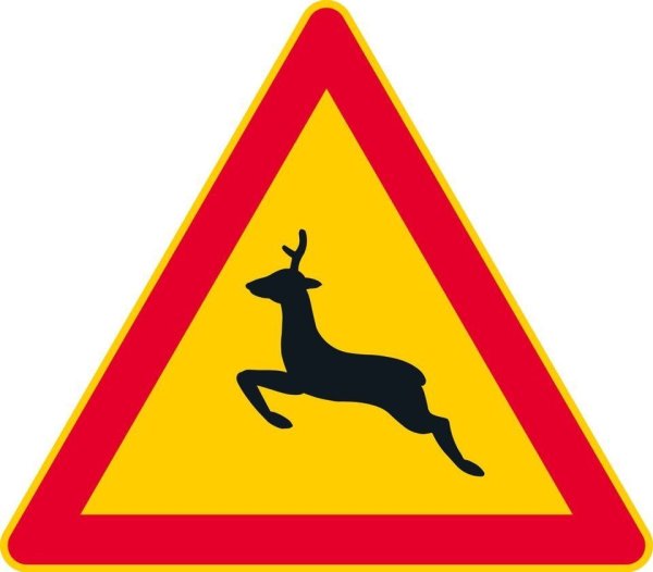 Знак осторожно олени