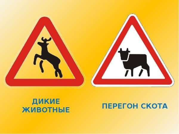 Дорожный знак осторожно животные