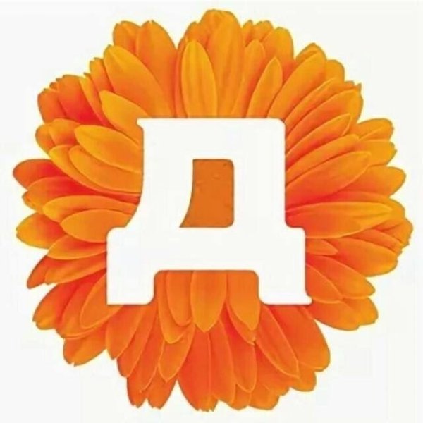 Дикси старый логотип