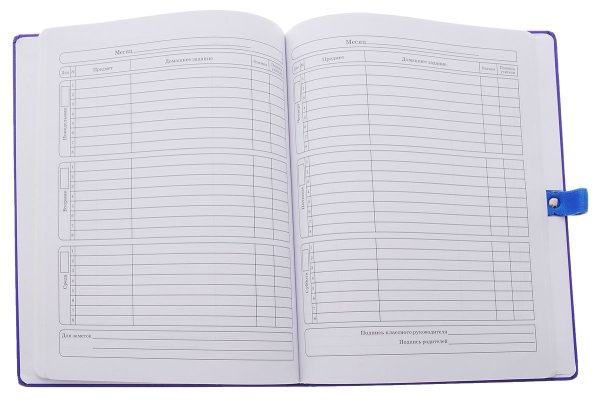 Школьный дневник