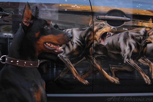 Аэрография овчарка