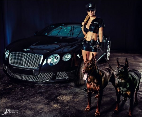 Доберман и БМВ е60