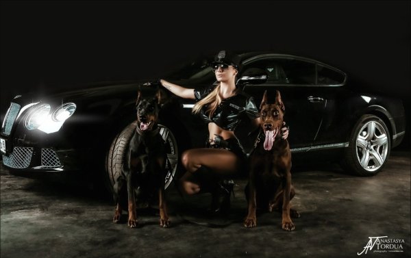 BMW x5 и Доберман