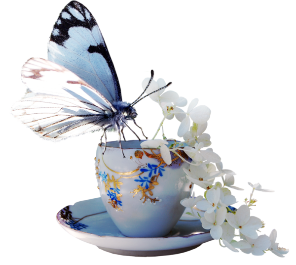 Доброе утро бабочки