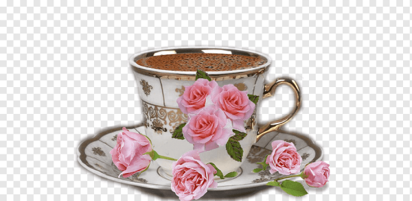 Чай цветка на прозрачном фоне