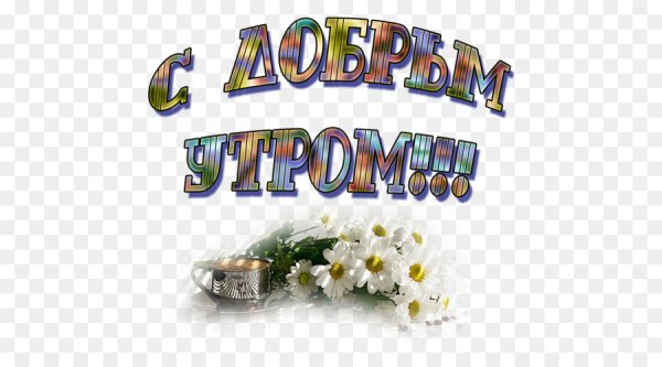 С добрым утром клипарт на прозрачном фоне