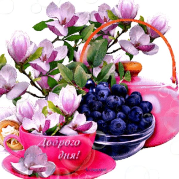 Доброго дня гиф