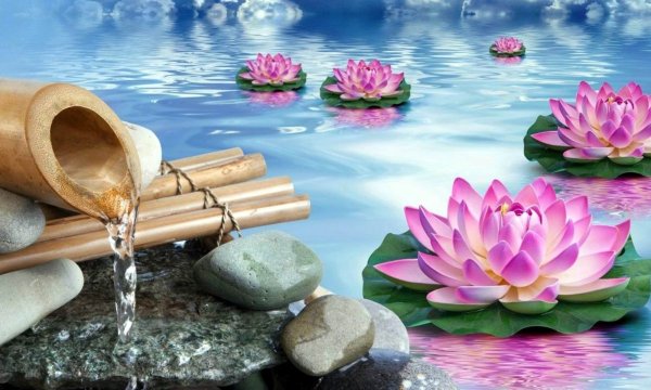 Релаксация изображение