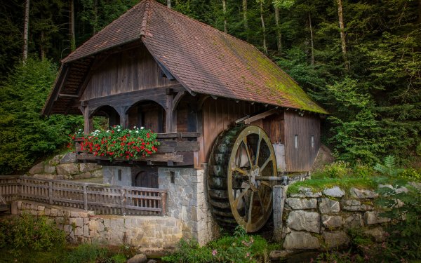Водяная мельница Савватьево 1886