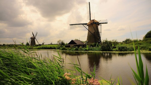 Ветряные мельницы в Голландии в поле