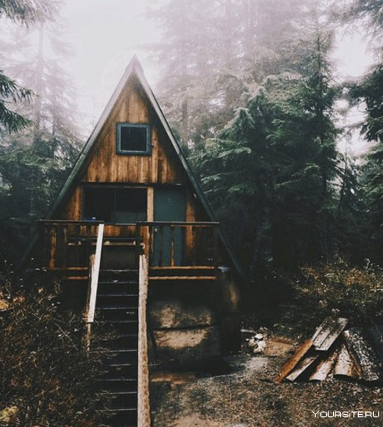 Красивый шалаш в лесу