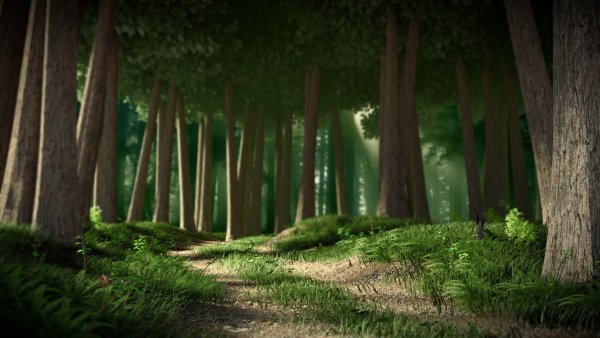 Лес из Шрека