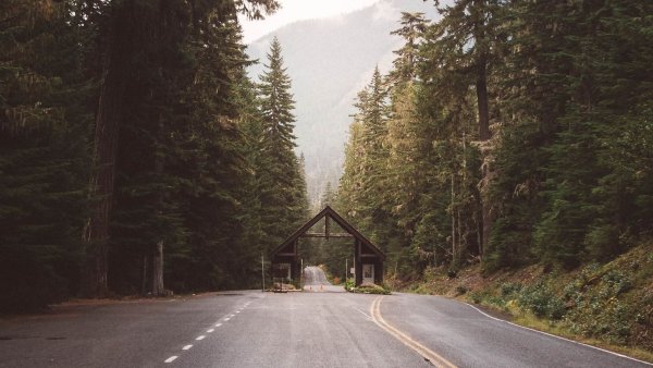 Дорога Эстетика