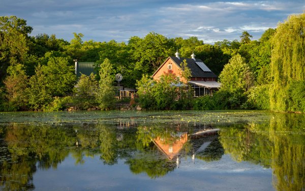 Дом у пруда