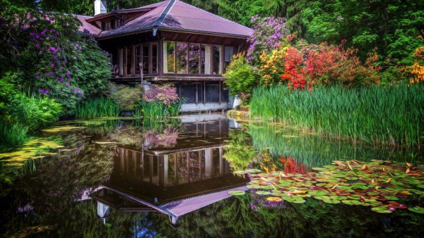 Красивый сад с озером