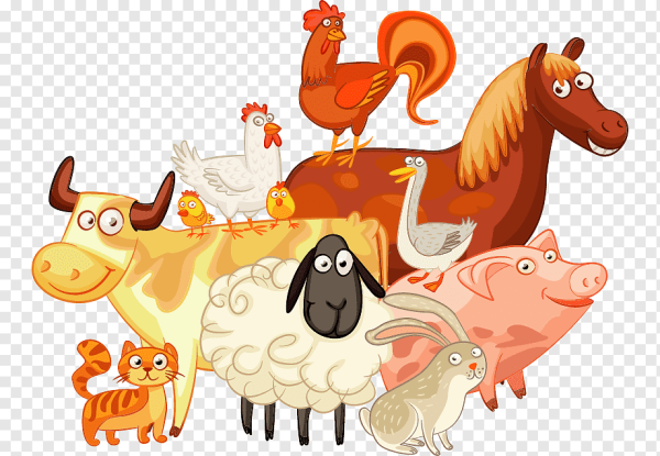 Загадки обманки про животных