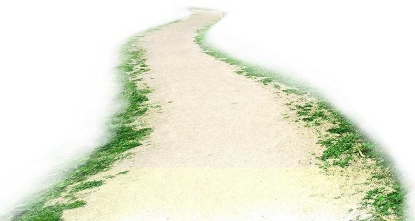 Тропинка на белом фоне