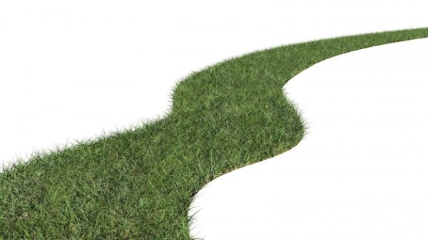 Тропа на белом фоне