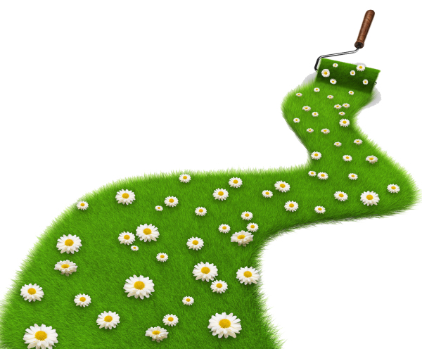 Тропинка для детей