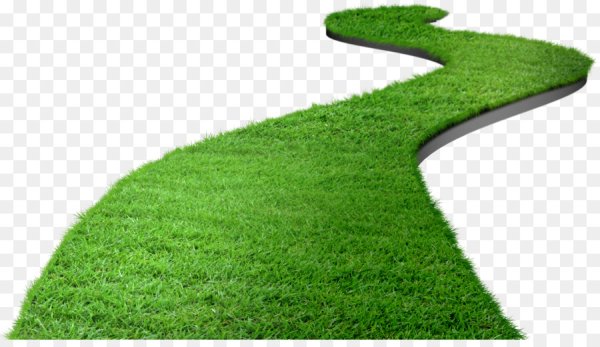 Газон нарисованный