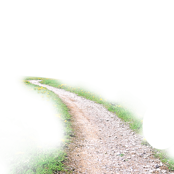 Тропинка на прозрачном фоне