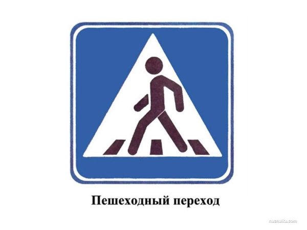 Дорожный знак Зебра