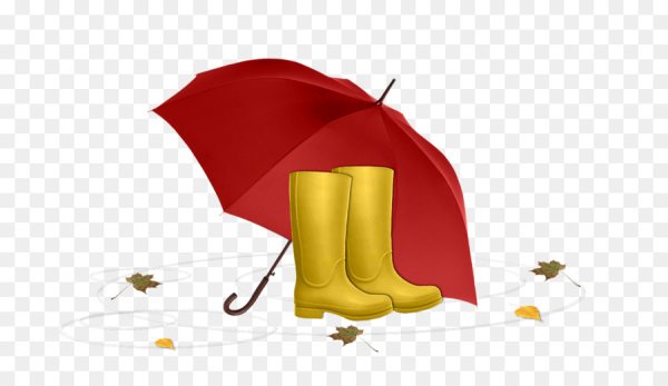 Сапоги и зонтик
