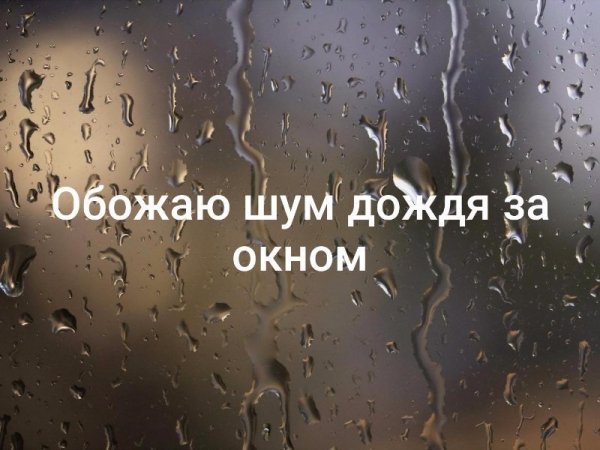 Люблю дождь