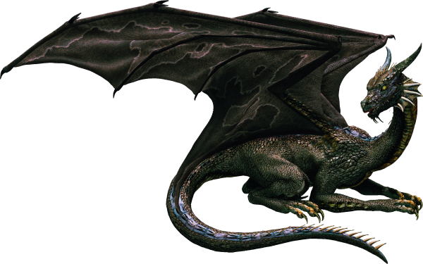 Дракоконы на белом фоне