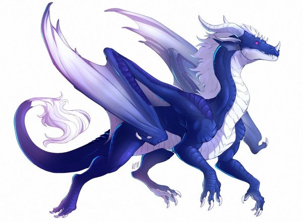 Дракон на белом фоне