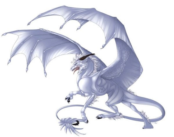 Дракон на белом фоне
