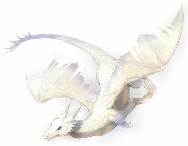 Белый дракон ДНД