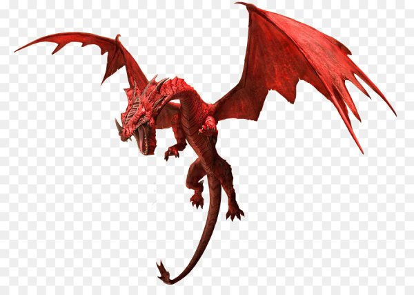 Дракон без фона