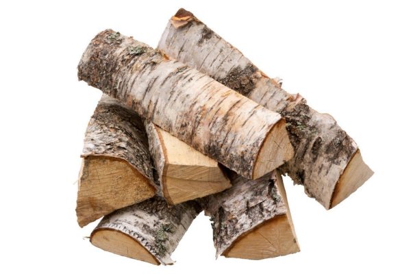 Дрова береза