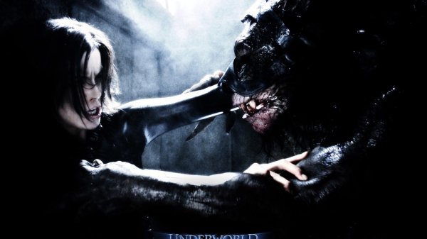 Другой мир оборотни и вампиры