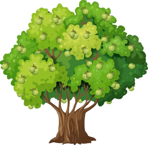 Нарисованный дуб на белом фоне