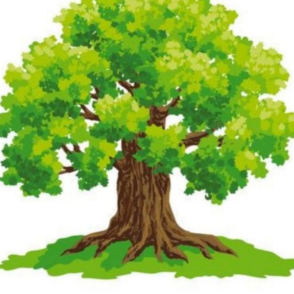 Мультяшные деревья