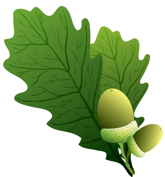 Лист дуба для детей