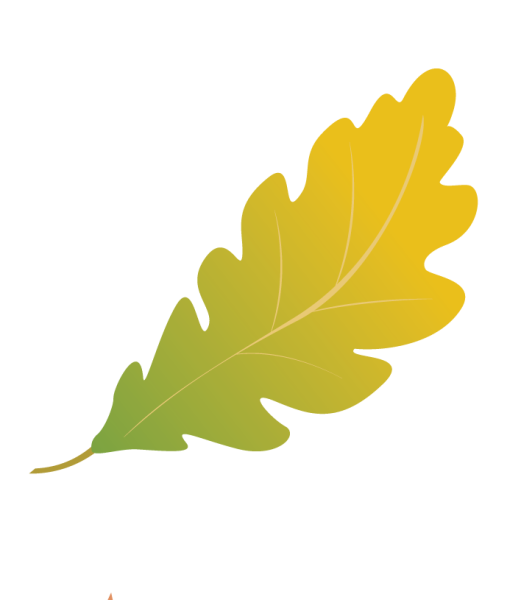 Лист дуба рисунок