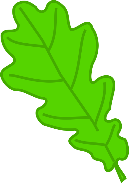 Дубовый лист рисунок