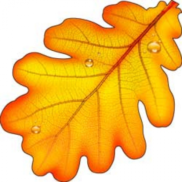 Дубовый лист осенью